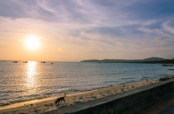 Cô Tô tuyệt diệu lắm. Biển dát những tia nắng cuối ngày lóng lánh, trời ửng hồng rồi dần tối. Phút rực rỡ cuối ngày qua đi, Cô Tô trở về lặng im trong lòng biển. Biển Cô Tô gió đưa sóng hát, trải dài khắp con tim.