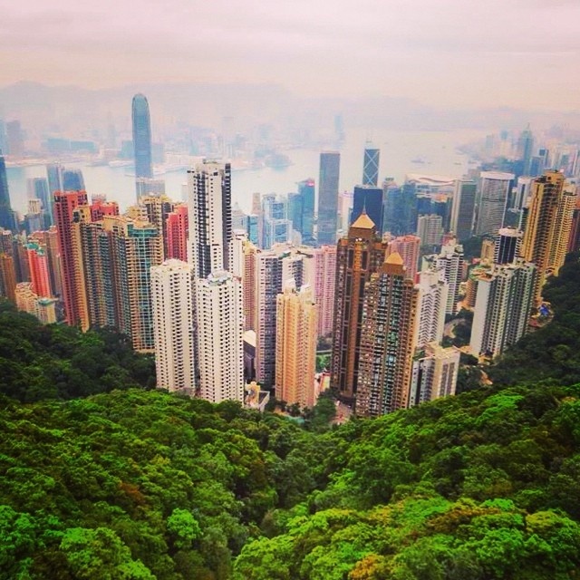 1. Dù ngày hay đêm, những tòa nhà chọc trời của Hong Kong luôn khiến bạn cảm thấy thành phố này không bao giờ “già”. Xe điện lên đỉnh cao nhất của Hong Kong sẽ đưa du khách đi qua một cung đường tuyệt đẹp, nơi vô số cảnh đẹp hùng vĩ của thiên nhiên sẽ thu vào tầm mắt của bạn. Bên cạnh đó, vãn cảnh trên đỉnh núi Thái Bình (The Peak) cũng chính là một cơ hội để bạn lưu lại vô số những bức ảnh đáng nhớ. Ảnh: Lifehack.