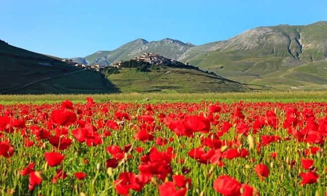 Monti Sibillini, Ý: Công viên quốc gia Monti Sibillini ở miền trung nước Ý, một phần của dãy núi Apennines là nhà của nhiều loại cây và động vật hiếm, cũng như nhiều khe núi và hồ nước. Đây là điểm người thăm quan có thể leo núi hoặc đạp xe qua những ngôi làng đẹp nhất của Ý. Những nơi này còn có các rifugi (nhà trọ), nơi khách du lịch có thể thưởng thức nhiều món ăn núi và ở lại với giá rẻ.