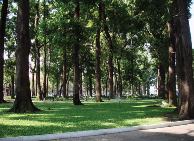 Sai Gon xon xao nhung hang cay hinh anh