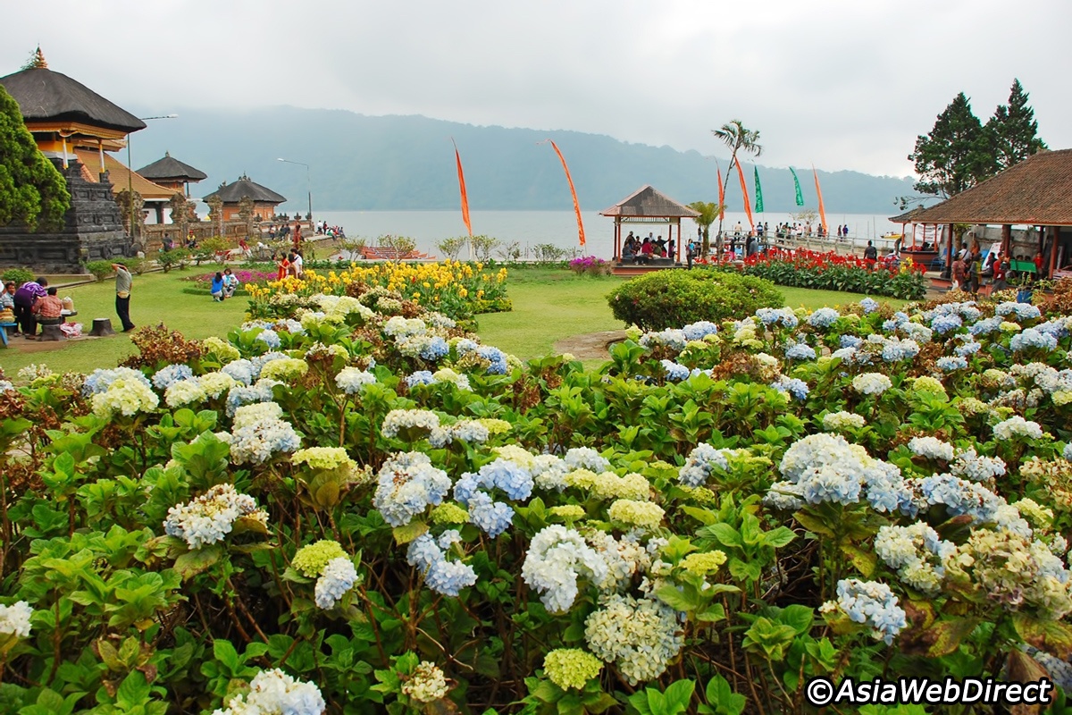 Rất nhiều loài hoa đẹp được trồng xung quanh khu vực đền. 