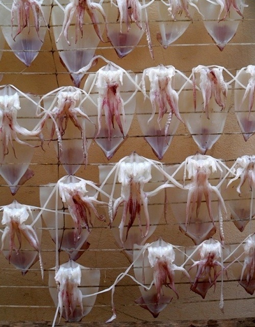 Cảng cá An Thới là địa điểm tập trung của cơ sở đóng tàu và cơ sở chế biến hải sản khô, vì thế du khách có thể mua tôm khô, khô cá thiều, mực một nắng… về làm quà cho gia đình và bạn bè. 