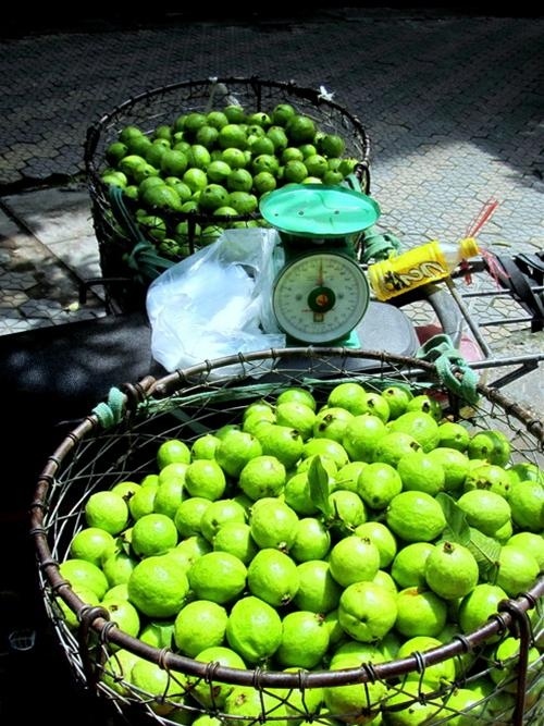 Ổi - Ổi ngày nay gần như có quanh năm, nhưng vẫn được đặc biệt yêu thích vào mùa hè.