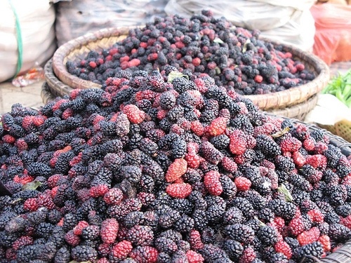 Những quả dâu nhỏ bé nhưng căng mọng nước, để dành ăn chơi cũng hấp dẫn mà ngâm nước uống mùa hè cũng là lựa chọn không tồi.