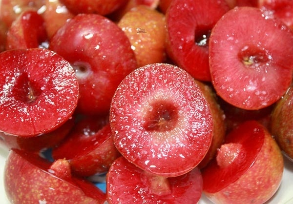 Mận - Mới chỉ bắt đầu mùa mận nhưng trên nhiều con phố đã có những gánh mận đầu tiên.