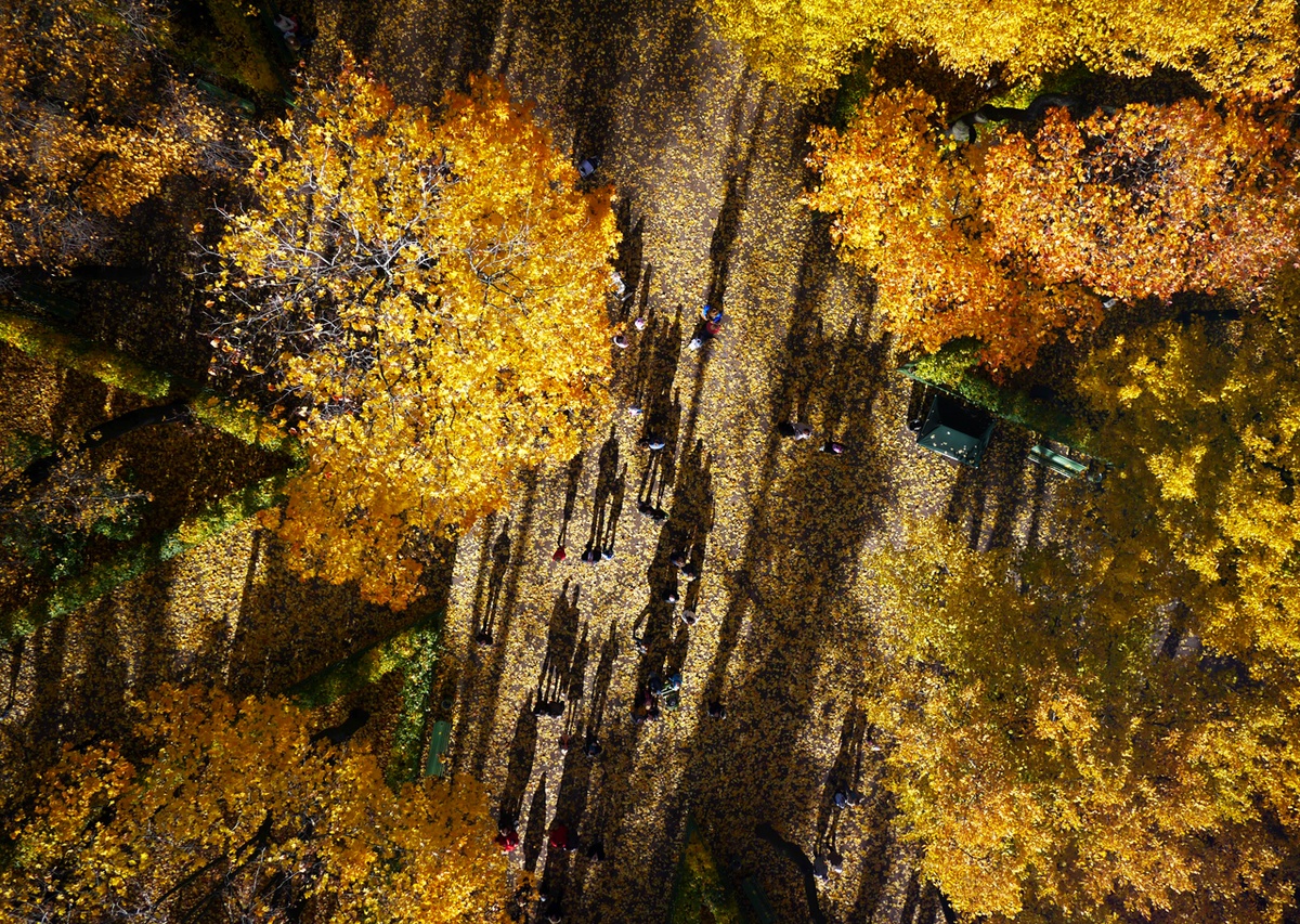 Công viên Summer Garden, Nga.