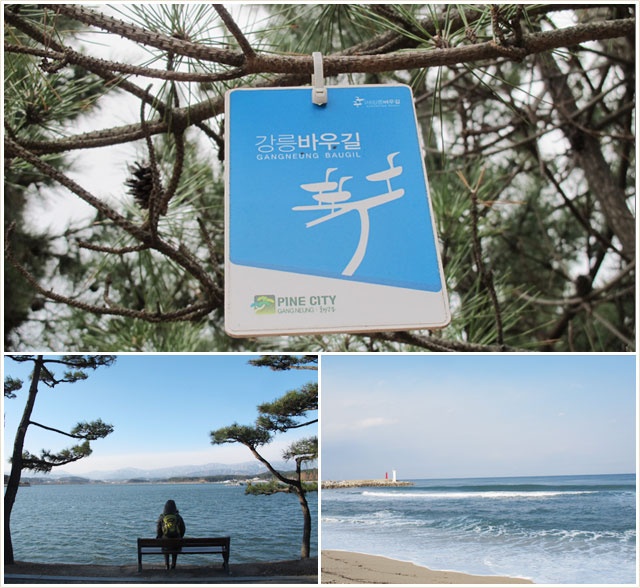 Nâng niu một tách cà phê sáng để đánh thức mọi giác quan trên phố cà phê, chiêm ngưỡng công viên Jukdobong, cùng bạn bè ngắm nhìn bờ biển thanh bình và rồi trở lại tuổi thơ hồn nhiên khi nhặt những chiếc vỏ ốc biển,... sẽ dệt nên những trải nghiệm khó quên khi bạn bước đi trên con đường Bau-gil trải dài 16 km bên bãi biển thành phố Gangneung, tỉnh Gangwon, quê hương của tiểu thuyết gia, nhà chính trị lỗi lạc, nhà thơ Heo Gyun (1569-1618) dưới thời Joseon.