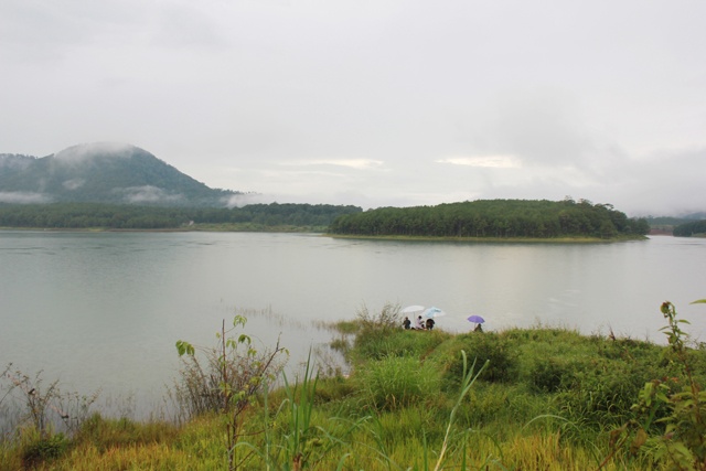 Đến hồ Tuyền Lâm, bạn cũng đừng quên du ngoạn trên hồ bằng thuyền, chiêm ngưỡng phong cảnh hữu tình và thưởng thức đặc sản núi rừng.