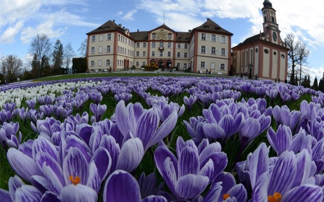 Nằm cách thành phố Konstanz, miền nam nước Đức khoảng 30 phút đi thuyền, Mainau còn có tên gọi đảo hoa, là một công viên tự nhiên độc nhất vô nhị trên thế giới. Mainau trải dài trên khu vực rộng 45ha, cuối thế kỷ XIX, đại công tước xứ BadenFrederick I đã mua hòn đảo và trồng nhiều loại cây và hoa. Tuy nhiên, người cháu trai của ông - Lennart Bernadotte mới chính là người biến hòn đảo thành một thiên đường hoa lộng lẫy. Mùa xuân chính là thời điểm tuyệt vời để du khách ngắm nhìn trăm hoa đua sắc ở Mainau dù cho thời tiết không thực sự chiều lòng người.  