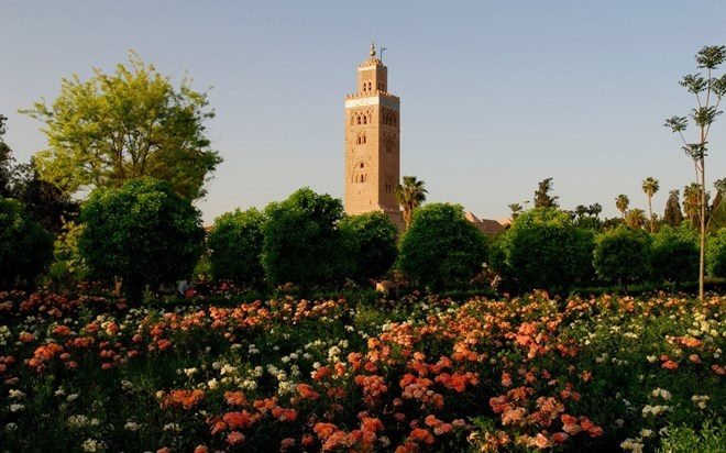 Thung lũng hoa hồng rực rỡ này nằm giữa sa mạc ở Ma rốc, ước tính có tới 100.000 bông hồng đang bung nở khoe sắc vào mùa xuân. Số hoa này sau đó sẽ được chọn lọc và sấy khô để làm các thành phẩm khác nhau như tinh dầu, hay nước hoa hồng.