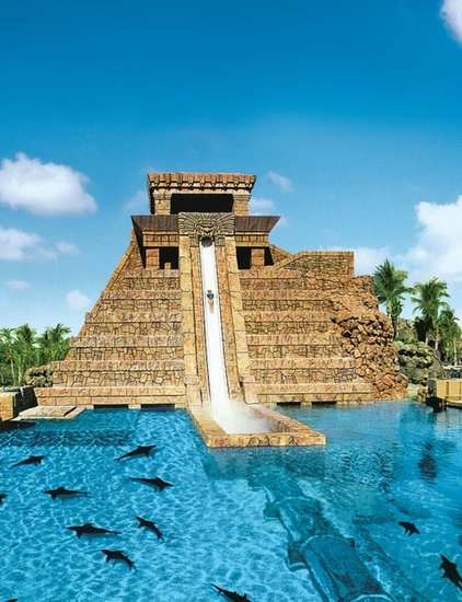 Trượt nước qua bể cá mập tại Bahamas. Ảnh: Popsugar.