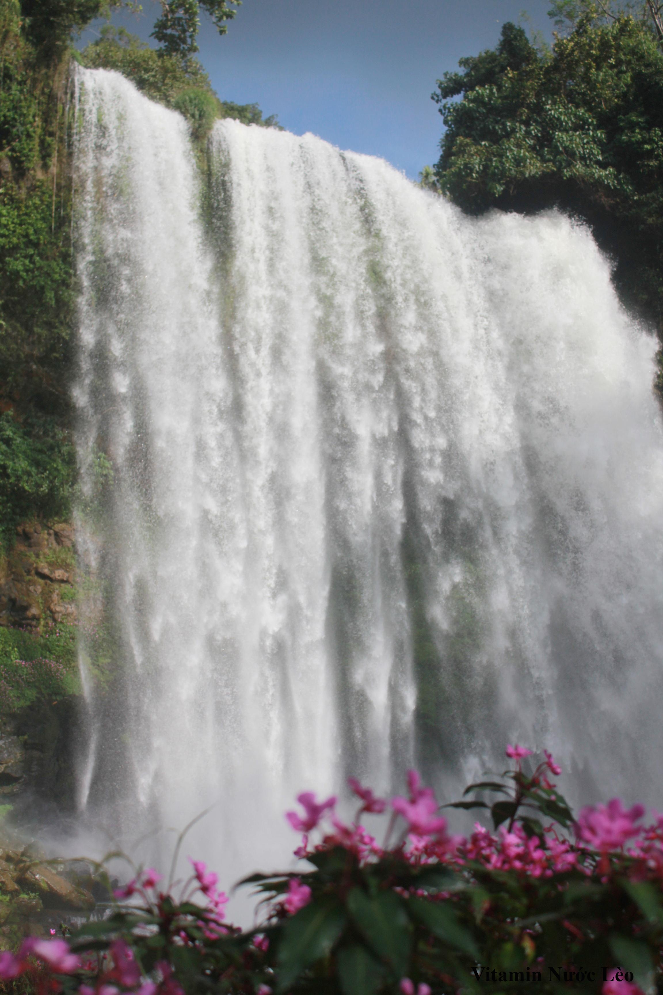 Nếu có thời gian, bạn nên đến thăm thác Damri, một con thác lớn nhất Lâm Đồng với  lưu lượng nước khổng lồ vào mùa mưa. Đây là điểm tham quan thú vị với du khách và là biểu tượng du lịch đáng tự hào của người dân Bảo Lộc. Cách xa thành phố khoảng 17km, ngọn thác hùng vĩ có cái tên ý nghĩa “Đợi chờ” vẫn luôn ở đây, chờ bạn tới tham quan và chiêm ngưỡng. Với độ cao gần 100m, hơi nước của thác đủ để làm bạn ướt sũng dù cách xa hàng trăm mét. Hệ thống thực vật ở đây lại vô cùng phong phú, khiến bạn khó rời xa khi đã đặt chân đến đây.