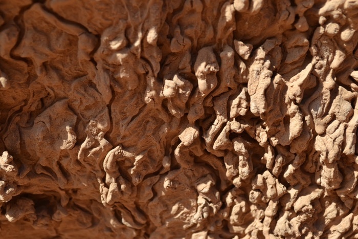 Cận cảnh những khối đá bị bào mòn từ hàng triệu năm trước để lại lớp trầm tích như hiện nay.