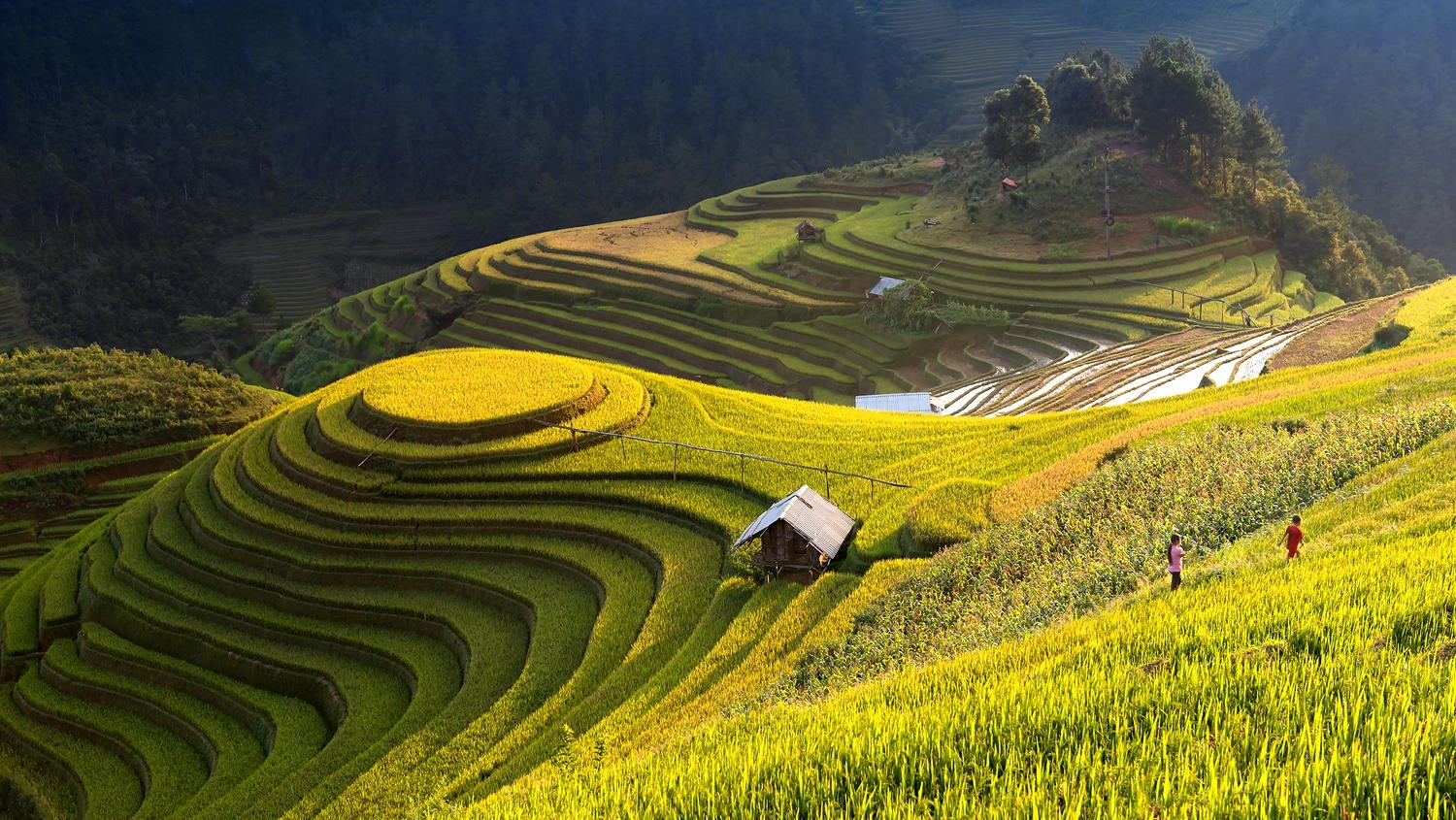 5 cung duong dan phuot nen thu mot lan trong doi o Viet Nam hinh anh