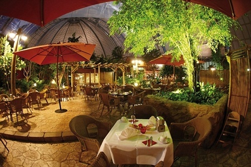 Nhà hàng với hướng nhìn ra bãi biển, rừng cây và … mái nhà.