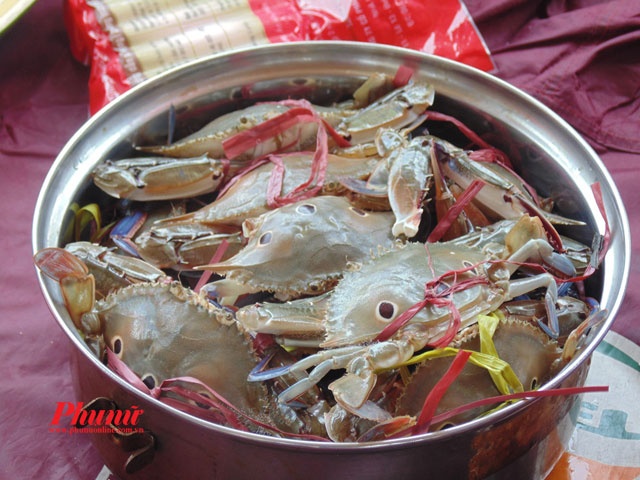 Với những bếp