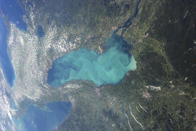 Sinh vật phù du sinh sôi nảy nở khắp hồ Ontario, Canada vào cuối mùa hè. Ảnh: NASA.