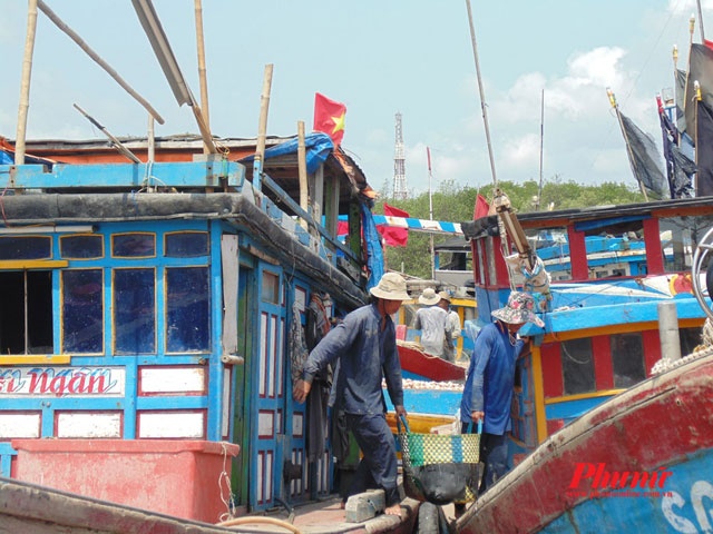Điều ai cũng đặc biệt hứng thú khi về Cần Giờ chính là hải sản. Chỉ khi về tận nơi, chúng tôi mới có dịp được chính tay mình lựa chọn các loài hải sản tươi sống giá rẻ ở cảng và tìm hiểu về quá trình làm việc của những ngư dân chốn này.