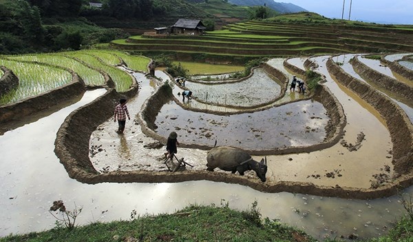 Đường nét vùng cao.