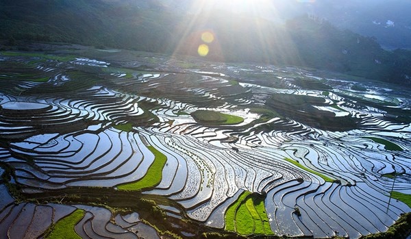 Sa Pa quyen ru mua nuoc do hinh anh