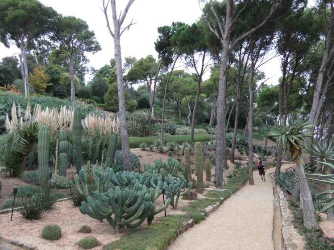 Du khách thường tìm đến đường mòn đi bộ 