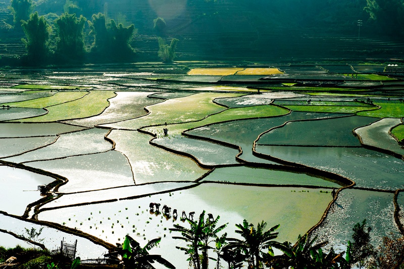 Mùa nước đổ. Ảnh: LeHongHa - ThanUyen.