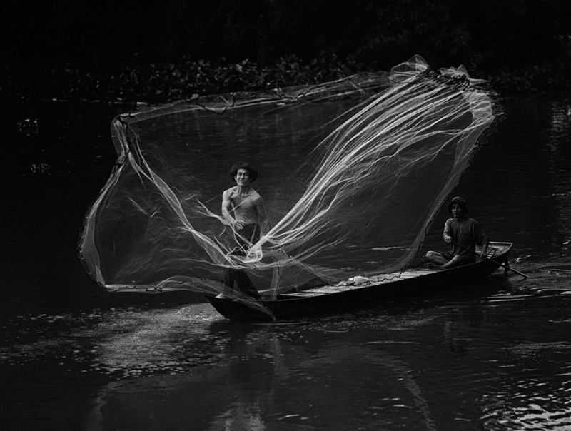 Rừng Tràm Sư. Ảnh: PhamTrongCan.