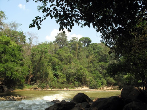 6. Rừng Nam Cát Tiên: Vườn quốc gia Cát Tiên là một khu bảo tồn thiên nhiên nằm trên địa bàn ba huyện Tân Phú, Vĩnh Cửu (Đồng Nai), Bảo Lộc (Lâm Đồng) và Bù Đăng (Bình Phước), cách Thành phố Hồ Chí Minh 150 km về phía Bắc. Đặc trưng của vườn quốc gia này là rừng đất thấp ẩm ướt nhiệt đới. Khoảng 50% diện tích của Cát Tiên là rừng cây xanh, 40% là rừng tre, 10% là nông trại.  Ảnh: Khampha.