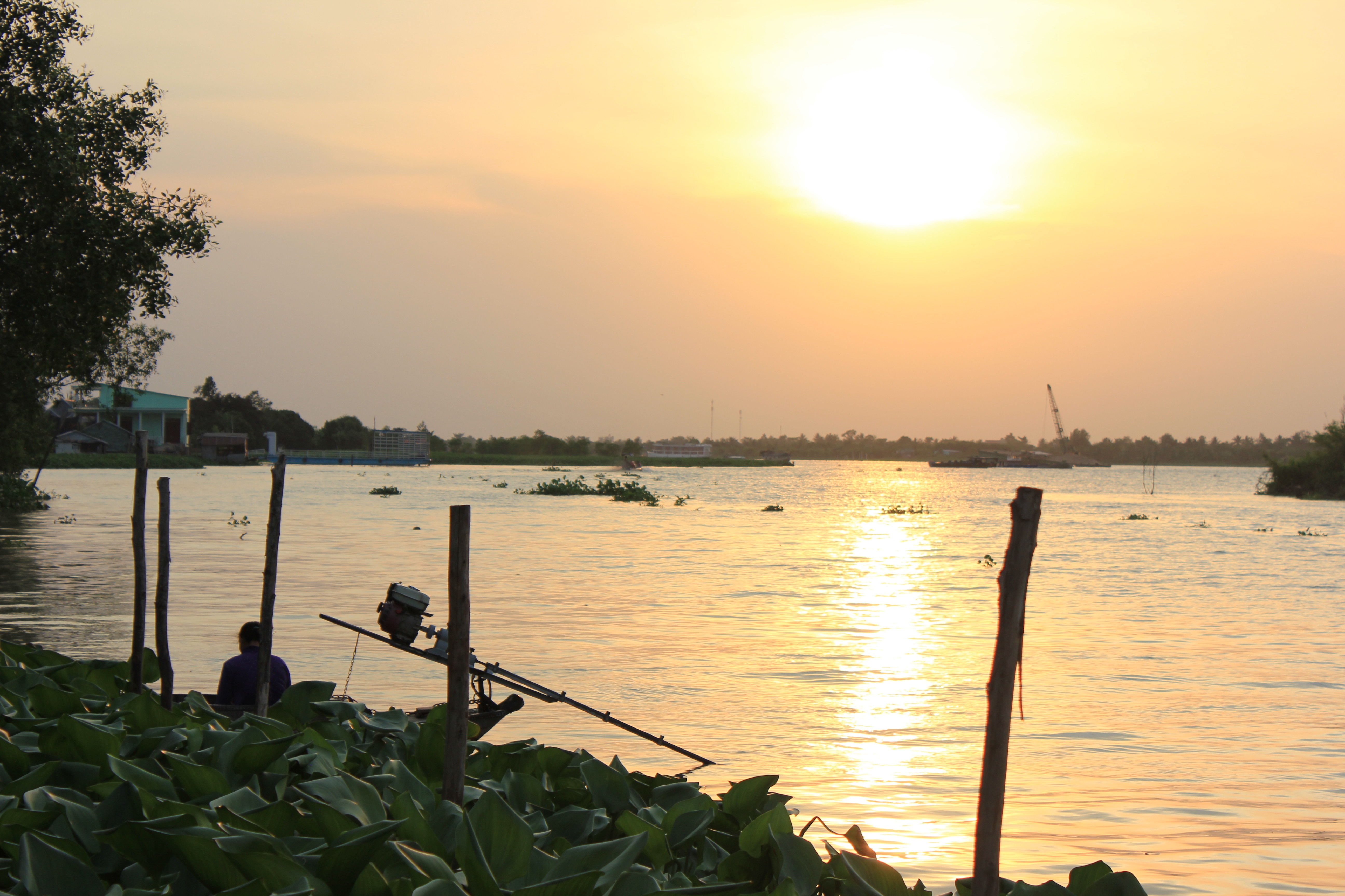 Hoàng hôn cù lao Tân Long. Ảnh: Yến Nhi.