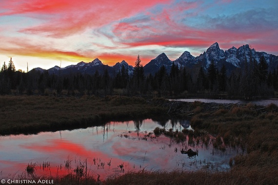 Schwabacher Landing, Công viên quốc gia Grand Teton, Wyoming, Mỹ: Bạn muốn có kỷ niệm đáng nhớ ở Teton, hãy ngắm hoàng hôn ở Schwabacher Landing. Schwabacher Landing có cảnh quan tuyệt đẹp, đặc biệt sống động lúc bình minh và hoàng hôn. Nếu bạn đến Grand Teton thì chớ nên bỏ lỡ vùng đất này. Ảnh: Christina Adele Warburg.