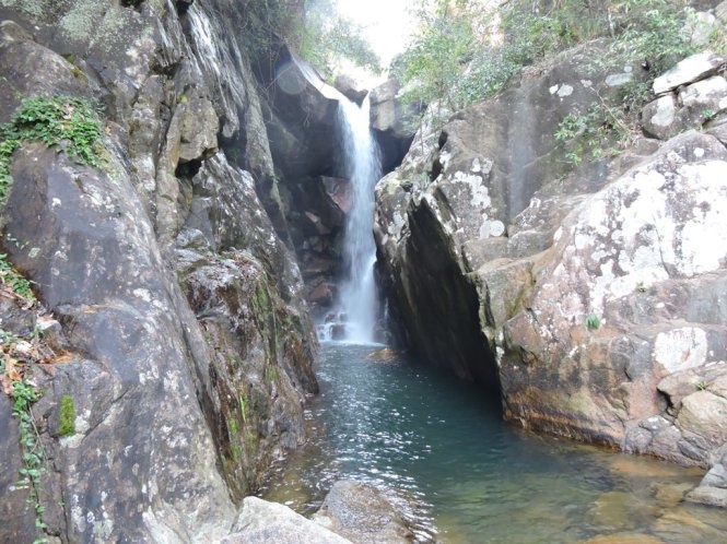 Benh bong suoi Tien hinh anh