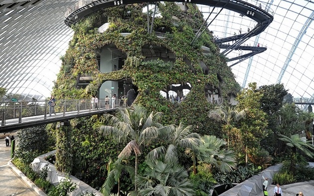 9.	Khu vườn nhân tạo: Công trình tọa lạc tại trung tâm thành phố ở Marina Bay, “The Garden by the Bay” phải mất 4 năm xây dựng với chi phí hơn một tỉ đôla. Khu vườn được điều hòa bằng mái vòm lớn, bên trong chứa hơn 500.000 loài cây từ khắp nơi trên thế giới.