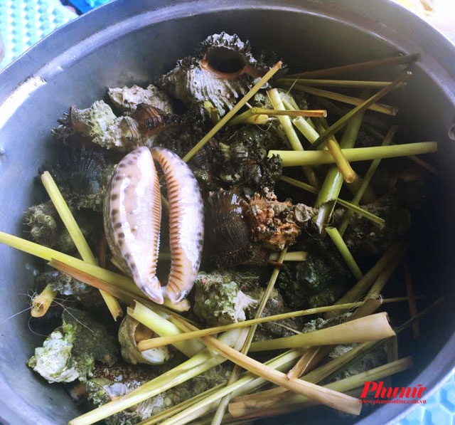 Đang vào mùa ốc đá, ốc mặt trăng, ốc nón nên nếu ghé Quy Nhơn thời điểm này, bạn nhớ thưởng thức các món ốc.