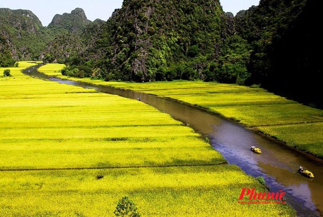 Với du khách, mùa hè cũng là thời điểm tuyệt nhất để đến Tam Cốc, vừa để tránh cái nóng oi bức, vừa để thư giãn, hòa mình cùng thiên nhiên của một chốn đồng quê yên tĩnh. Đi Tam Cốc mùa này, dù ngồi thuyền hay đi dạo trên bộ, bạn sẽ như lạc vào những thảm sắc màu khi nhìn qua những cánh đồng lúa xanh xen lẫn lúa chín vàng. Ruộng thì chỗ đang gặt, chỗ chờ gặt, tạo nên những mảng màu thiên nhiên thơm mát, nhẹ nhàng và tuyệt đẹp. Ảnh: Võ Minh Đức.