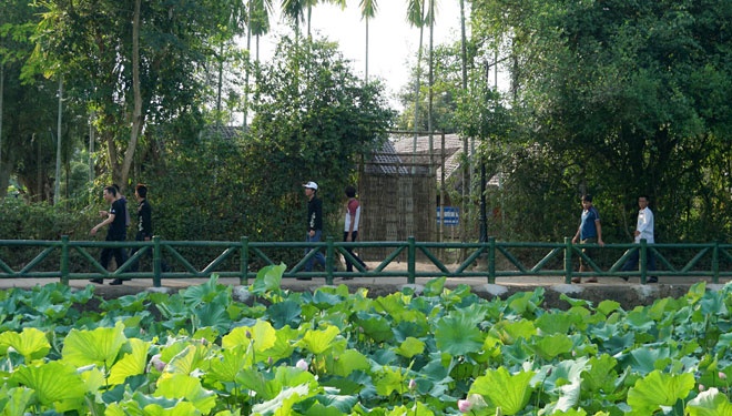 Thang Nam ve lang Sen que Bac hinh anh