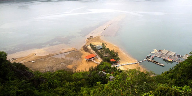 Tận hưởng một ngày ở đảo Bánh Sữa  5g sáng, khi thủy triều đang ở mức thấp nhất, là thời điểm thích hợp để du khách cùng người dân đi bắt hải sâm. Những tảng đá xung quanh đảo là nơi những con hải sâm to bằng cánh tay được mọi người thích thú tìm kiếm, săn bắt.