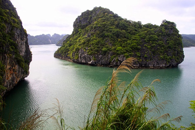 Khi ánh nắng trở nên rực rỡ, chiếu xuống vùng biển xanh biếc, thuyền ghé vào nhà bè của ngư dân trên vịnh. Từ mặt nước, những người dân chân chất, mộc mạc chỉ biết đến thuyền và biển kéo lên những túi lưới chứa đầy hải sản. Nào tôm, cá, mực, ghẹ… tất cả đều đang vẫy vùng, tươi rói.