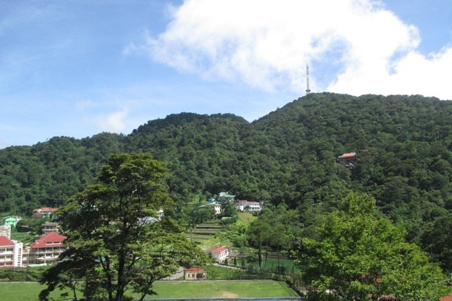 Mot Tam Dao khong on ao nhung hap dan toi la ky hinh anh