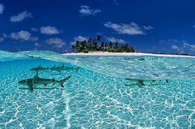 Maldives, Quốc đảo Maldives Nếu bạn là một người yêu thích phiêu lưu thì đây chính là lựa chọn hàng đầu dành cho bạn. Maldives là một trong những bãi lặn nổi tiếng thế giới, với sự đa dạng của những sinh vật biển hay những rạn san hô đầy màu sắc. Được mệnh danh là thiên đường nghỉ dưỡng, Maldives sẽ mang lại cho bạn những ngày nghỉ vô cùng khoái lạc với những dịch vụ nghỉ dưỡng sang trọng bậc nhất thế giới tại các khu bangalow tạo lạc ngay trên những rạn san hô sặc sỡ.Từ tháng 6 đến tháng 9 là thời điểm du lịch hấp dẫn nhất trong năm của Maldives.