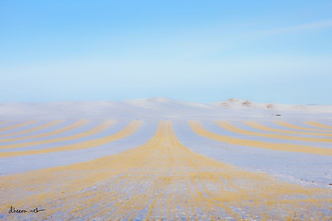 Một vùng quê có nhiều cánh đồng khô và nhiều tuyết.