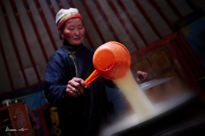 Một phụ nữ Mông Cổ pha trà sữa truyền thống, với thành phần gồm nước, sữa, trà và muối. Đây là thức uống thường thấy ở Mông Cổ đặc biệt là vào mùa đông, và được dùng để mời khách khi họ đến nhà.