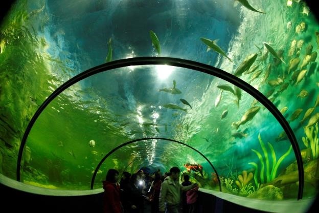 Aquarium là một trong những thủy cung lớn nhất trên thế giới, thể tích hơn 4000 m2 với hàng nghìn sinh vật biển hấp dẫn. Tiếp đó bạn hãy tới Thế giới thần tiên VinKE, với nhiều trò chơi hấp dẫn cho trẻ nhỏ, hay cho các bé tham quan quảng trường và sân khấu nhạc nước. 