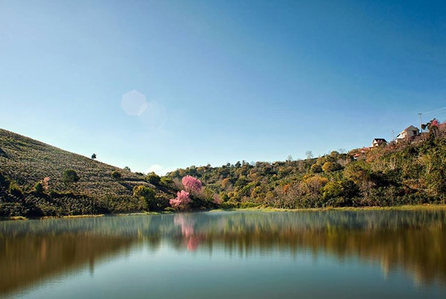 Tan huong thien nhien trong lanh noi doi che Da Lat hinh anh