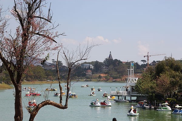 Da Lat khong co cho cho su co don hinh anh