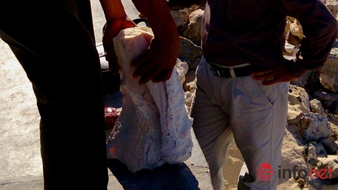 Khối đá được lấy lên khỏi bờ biển.