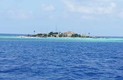 'Den Truong Sa de hieu them dat nuoc minh' hinh anh