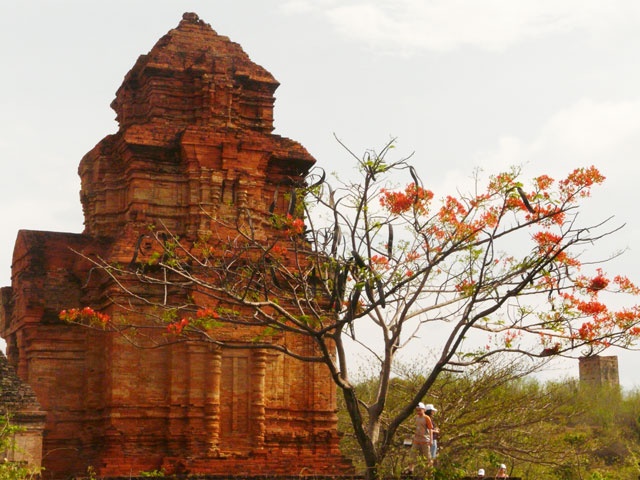 Hoa phượng bên tháp cổ - Ninh Thuận.