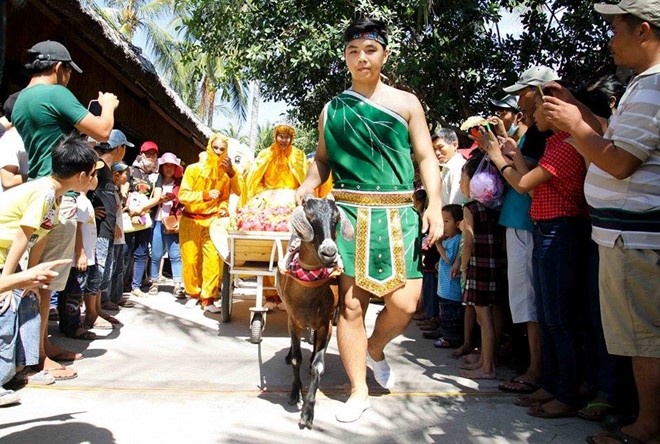 Khỉ hoang dã