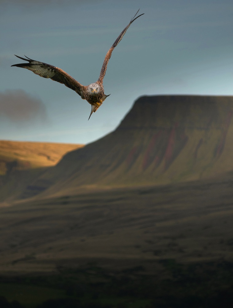 Công viên quốc gia Brecon Beacons, Bắc Ireland.