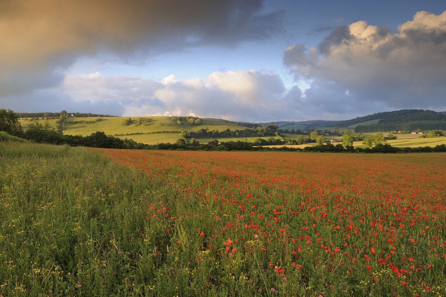 Phía Tây đồi Chiltern, Anh.